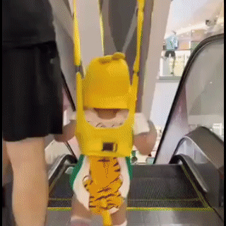 SwiftStep™ 2-in-1 Baby Safety & Walking Combo